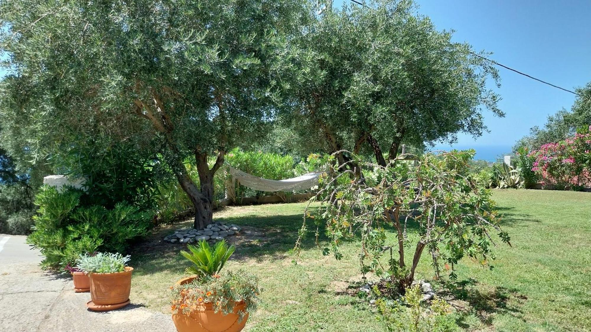 Villa Gecko, Arillas Kavvadades Exterior foto